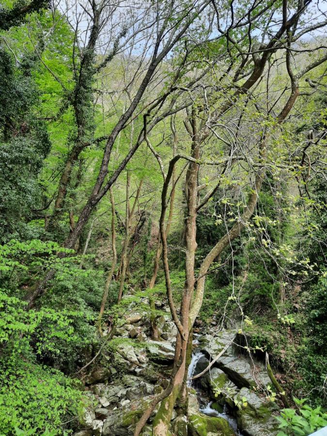Αρχοντικό Κονάκι- Konaki Pelion Tsagarada Exteriör bild